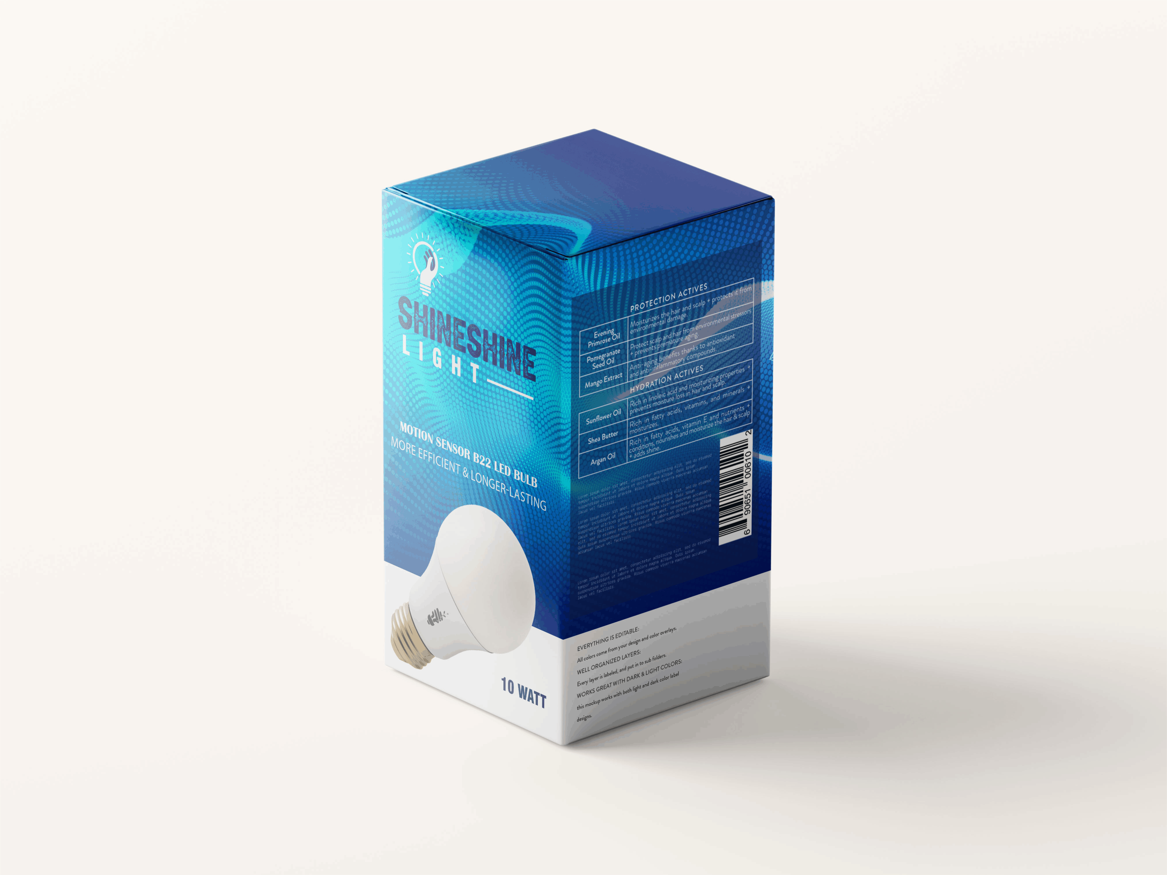 Packaging Box — sample 10